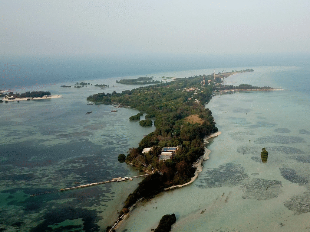 Aerial view of Pari Island in Indonesia showing low-lying land surrounded by shallow coastal waters and vegetation.